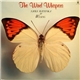 Naoya Matsuoka & Wesing - The Wind Whispers